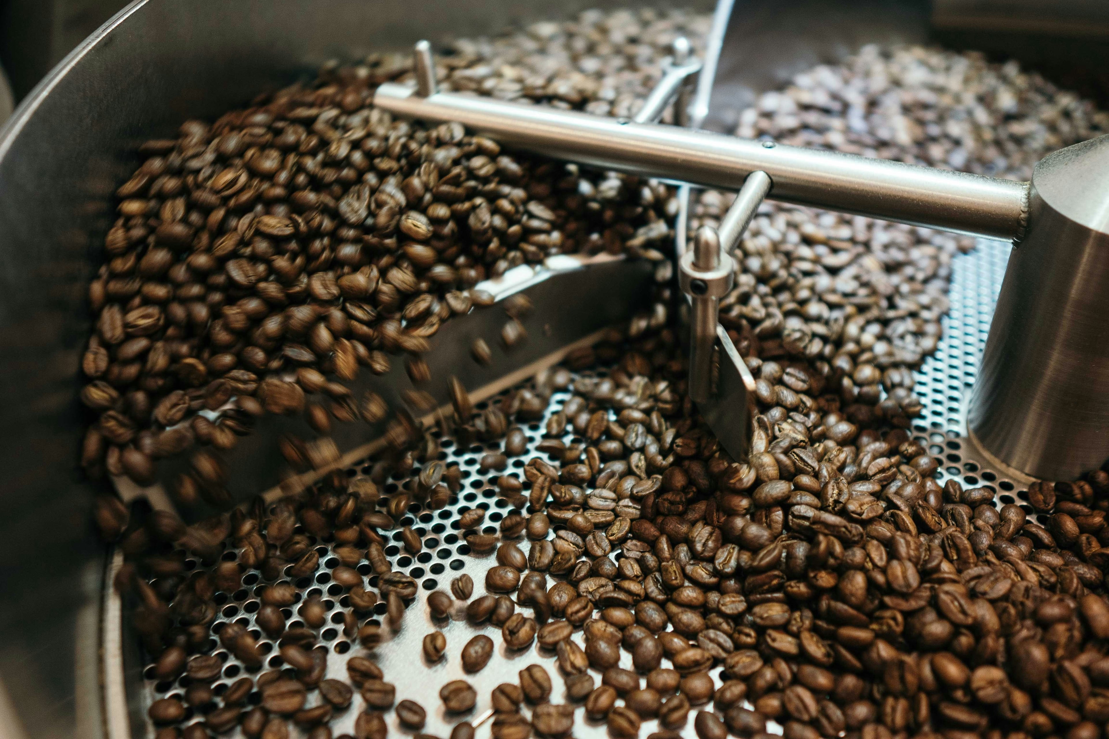 Coffee processing